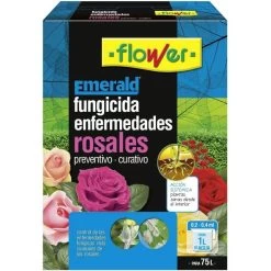 Enfermedades De Los Rosales