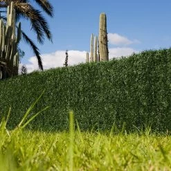 Seto Artificial Dense