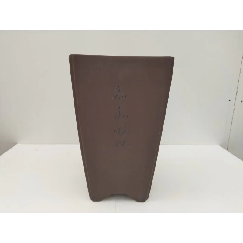 Tiesto Bonsai En Cascada Modelo GINZA