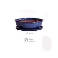 Tiesto Olea Con Plato Verde