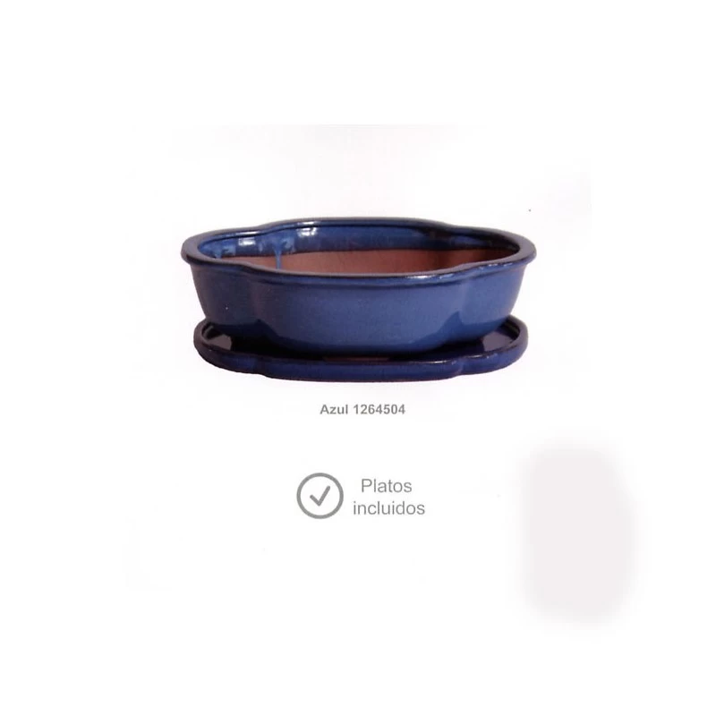 Tiesto Olea Con Plato Verde